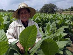 Mujer Cuba.jpg - 10.70 KB