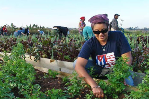 muejres-protagonistas- agricultura
