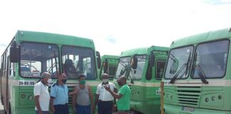 Labores organizativas del transporte en San José de las Lajas