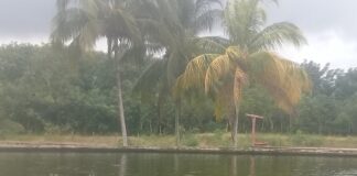 Vista del estanque en el área de ceba