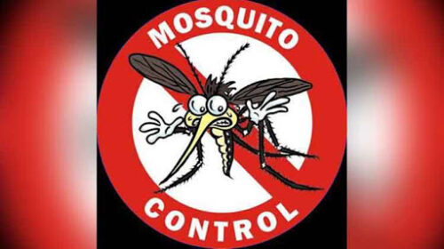 Control Mosquito