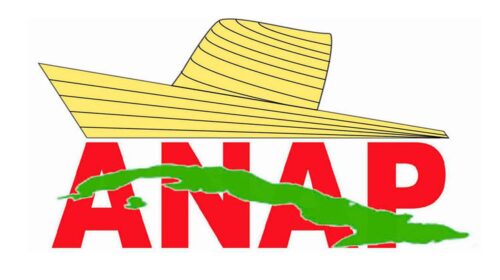 LOGO ANAP(1)