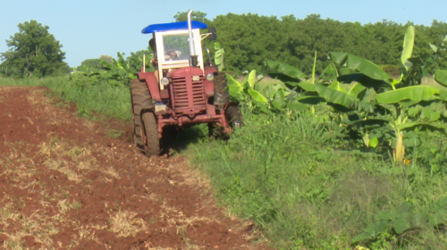 día campesino