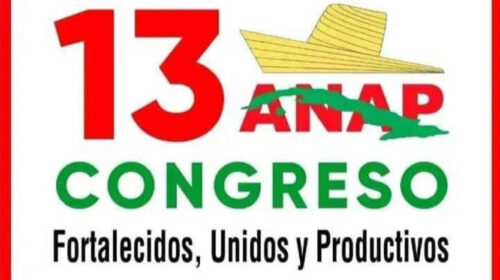 CONGRESO ANAP