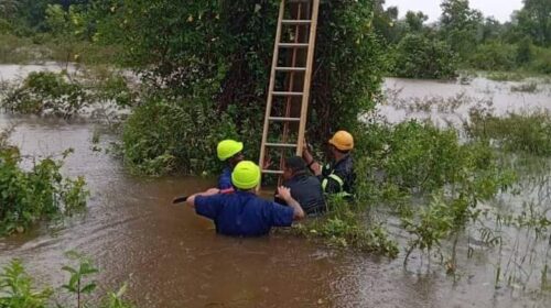 trabajadoires cubanos en acción