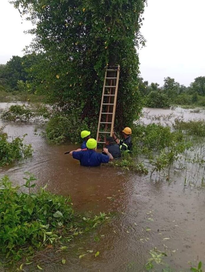 trabajadoires cubanos en acción