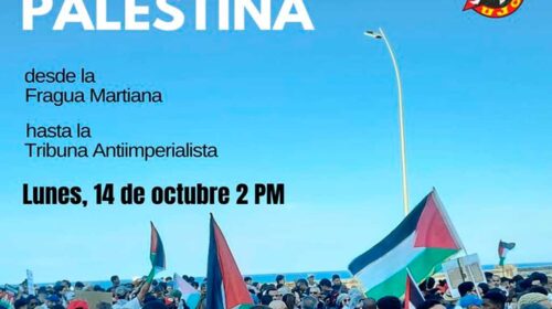 cuba-solidaridad-palestina-1
