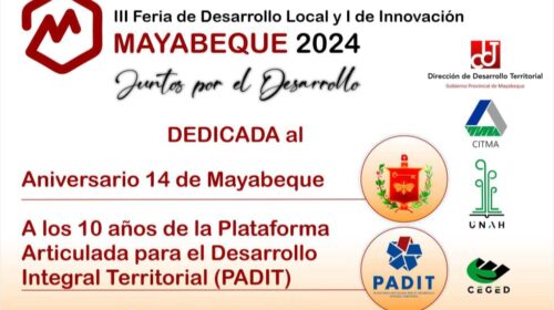Tercera Feria Desarrollo