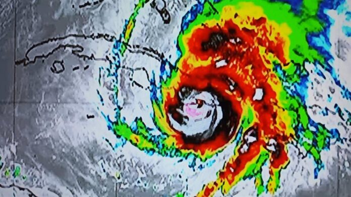 Melissa-toca-tierra-1