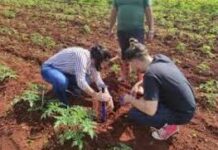 Potencian formación académica