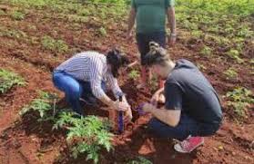 Potencian formación académica