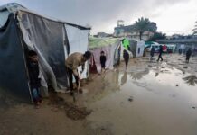 ONG internacional reclamó más ayuda para Gaza