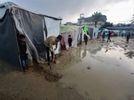 ONG internacional reclamó más ayuda para Gaza