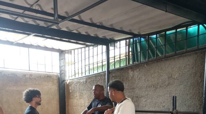 Imparten curso certificado de formación de instructores de gimnasios en San José de las Lajas