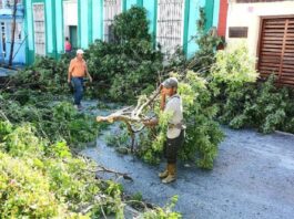 Oriente después de Melissa: recuperación avanza, pese a la adversidad