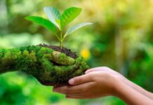 Cultivar preservando el entorno