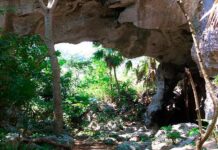 Beneficia proyecto científico local a pobladores adyacentes