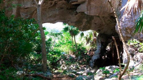 Beneficia proyecto científico local a pobladores adyacentes