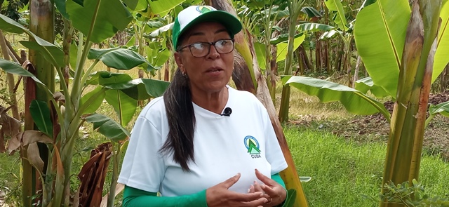 FOTO 1-Idania Padilla Cantillo-Jefa del Servicio Estatal Forestal en Mayabeque