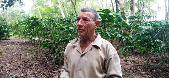 FOTO 1-Isaín, productor de café