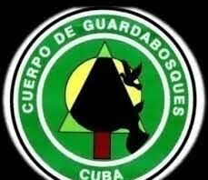 Accionan frente a incendios forestales