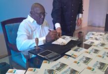 Celebró sus quince Mayabeque