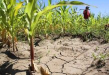 Defensa Civil de Cuba revisó inicio de período seco en el país