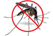 Por un entorno libre de mosquitos