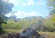 Reconocen a obreros de Mayabeque