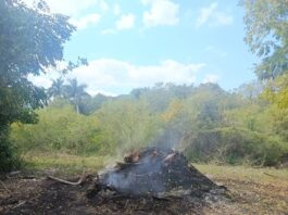 Reconocen a obreros de Mayabeque