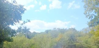 Reconocen a obreros de Mayabeque