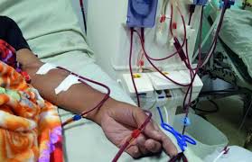 Garantizan servicios de salud