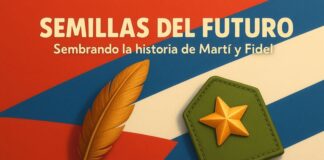 Gestan nuevo proyecto en la Escuela Primaria de San José de las Lajas