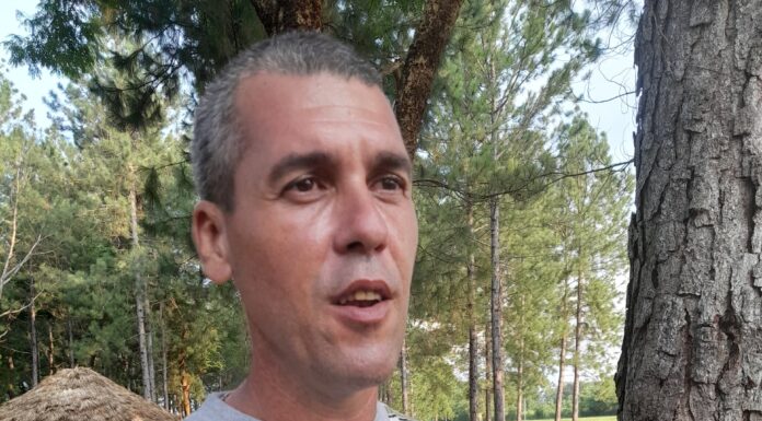 Aportan a la producción de carbón vegetal