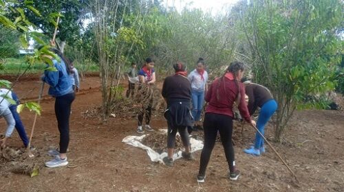 Mantienen vínculo de los pioneros lajeros con el campo