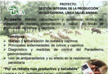 Brindan capacitación y asistencia técnica especialistas del Instituto de Ciencia Animal ICA