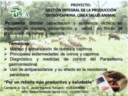Brindan capacitación y asistencia técnica especialistas del Instituto de Ciencia Animal ICA