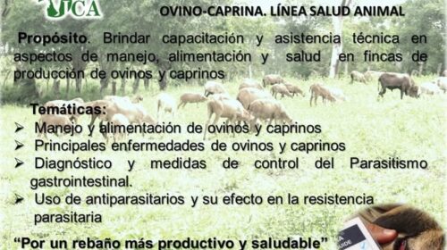 Brindan capacitación y asistencia técnica especialistas del Instituto de Ciencia Animal ICA