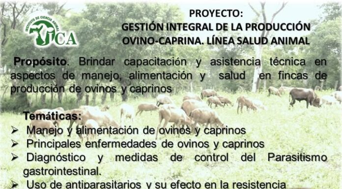 Brindan capacitación y asistencia técnica especialistas del Instituto de Ciencia Animal ICA