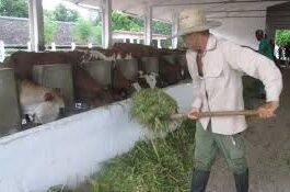 Aporte a la economía desde la ciencia