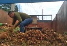 Precisión y rentabilidad para una mayor producción agrícolas