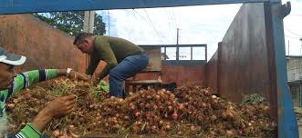 Precisión y rentabilidad para una mayor producción agrícolas