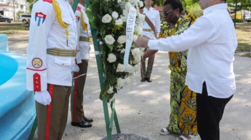 Enaltecen en Cuba los lazos amistosos con África