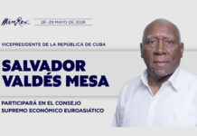 Participará Valdés Mesa en Consejo Supremo Económico Euroasiático