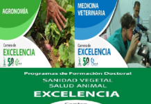 La Excelencia en la Educación Superior una prioridad en Mayabeque