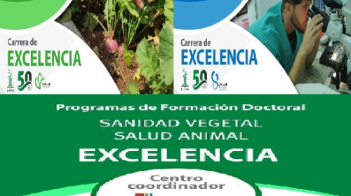La Excelencia en la Educación Superior una prioridad en Mayabeque