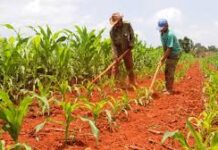 Ponderan desarrollo agropecuario