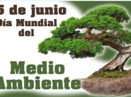 Cuba aboga por cuidado del planeta en Día Mundial del Medio Ambiente