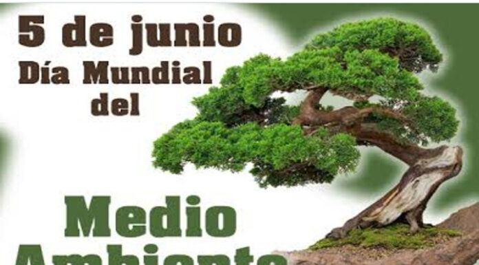 Cuba aboga por cuidado del planeta en Día Mundial del Medio Ambiente