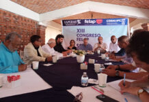Integra Upec dirección colegiada de Federación Latinoamericana del gremio